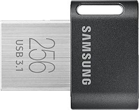 Samsung USB flash drive with a metal connector and black cap, 256GB USB 3.1 storage device.